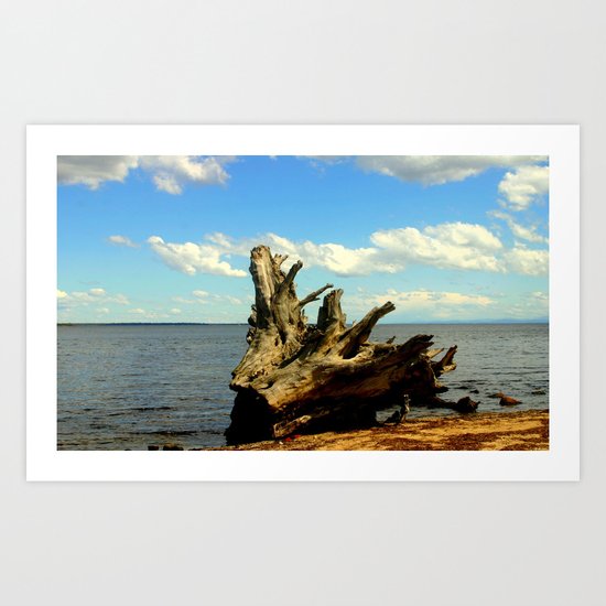 Metung ~ Lake King Art Print