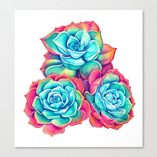 Echiveria Canvas Print
