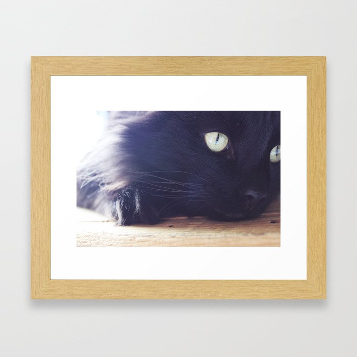 Cozy Kitty Framed Art Print