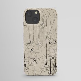 Santiago Ramon y Cajal Neurons Drawing iPhone Case