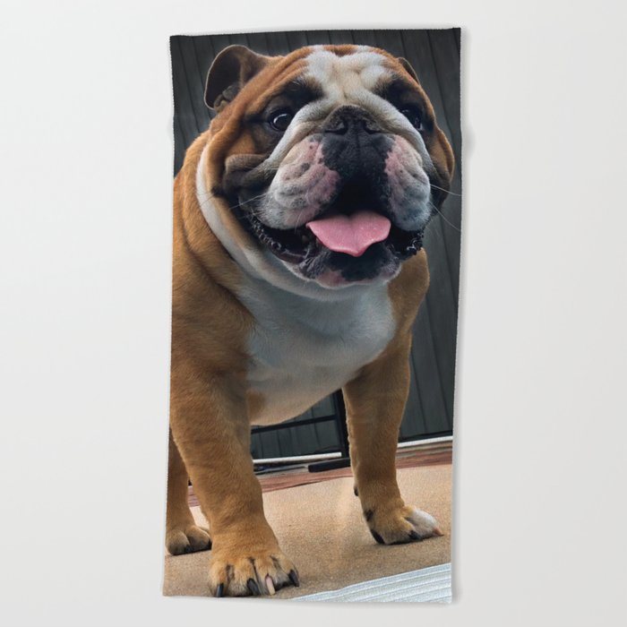 English bulldog sale beach towel