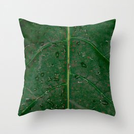 Botanical leaf with rain drops | Tropical travel photography | Nature art print Throw Pillow