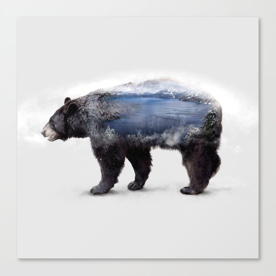 Bear Canvas Print