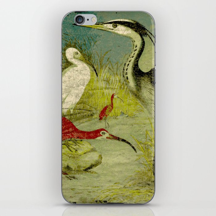 Waterbirds iPhone Skin