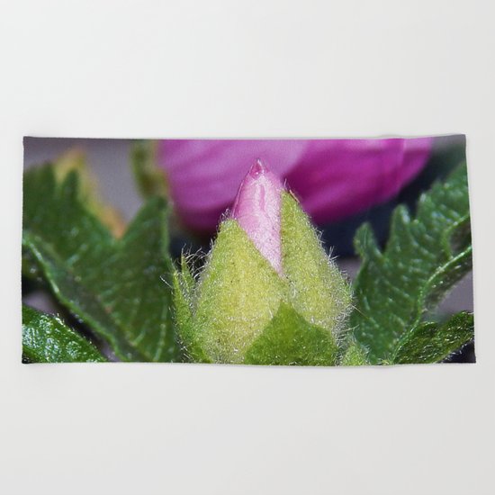 Musk Mallow Bud Beach Towel