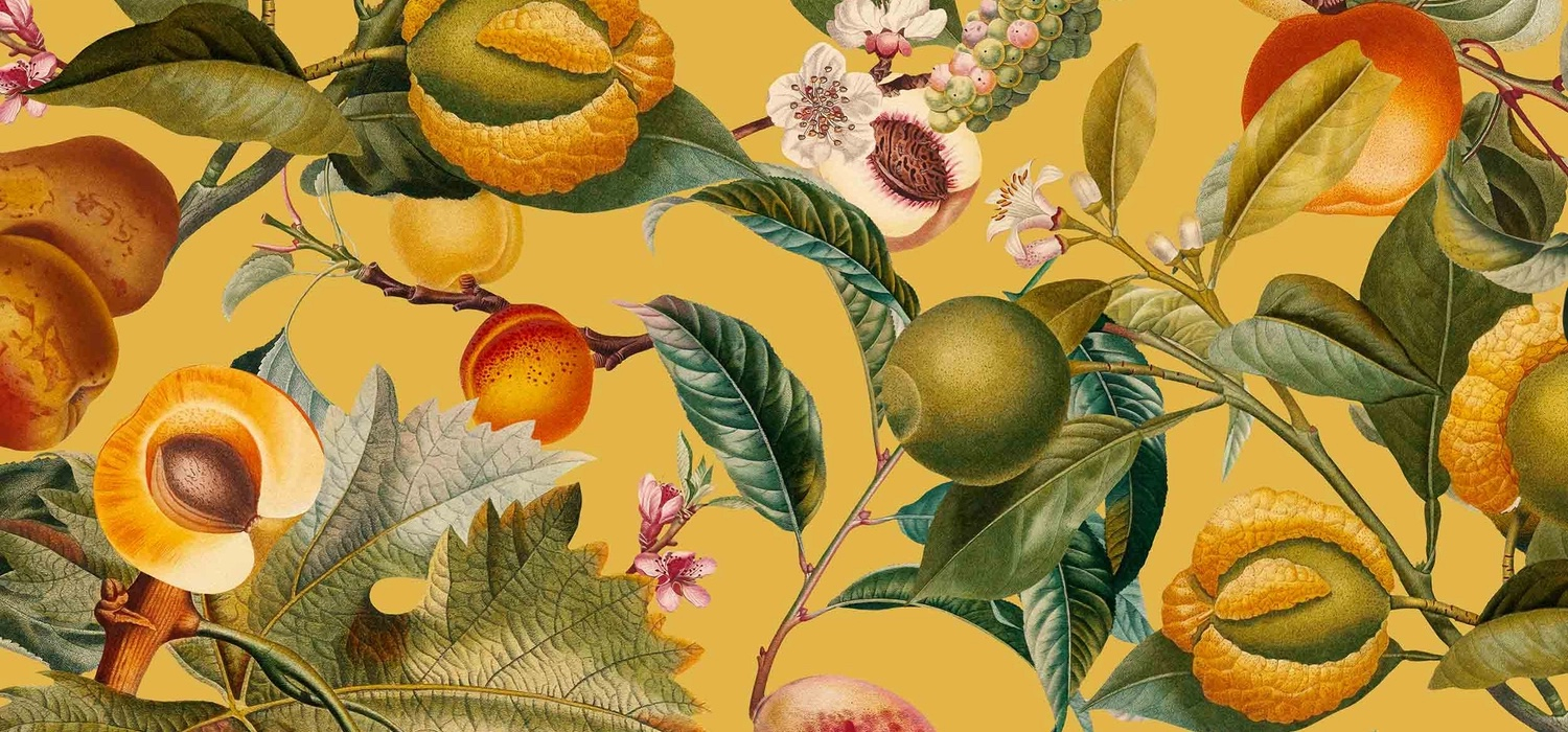 Artist-Designed Wall Art, Home Decor, Tech and More | Society6