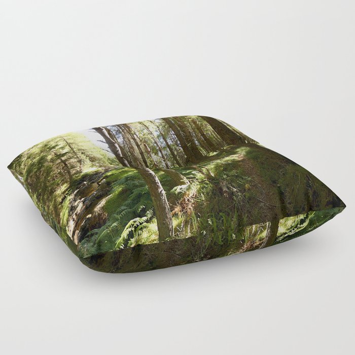 Scottish Highlands Light and Shadow Nature Path Floor Pillow