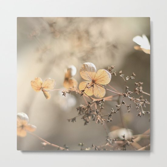 still beautiful °3 Metal Print