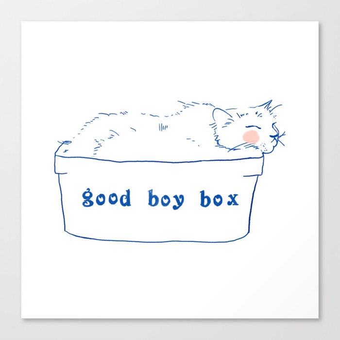 good boy box Canvas Print