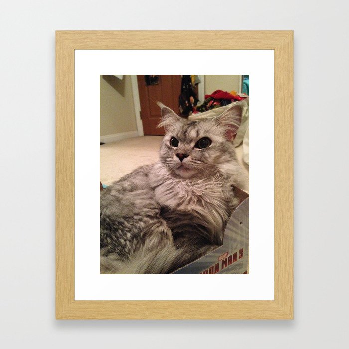 Pretty Kitty #2 Framed Art Print