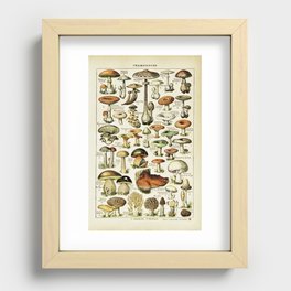 Vintage French Mushrooms Recessed Framed Print