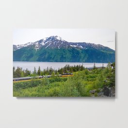 Alaska Passenger Train - Bird Point Metal Print