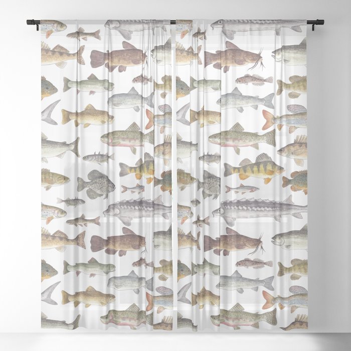 Sheer Curtain