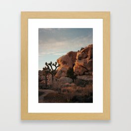 Joshua Tree National Park #4 Framed Art Print