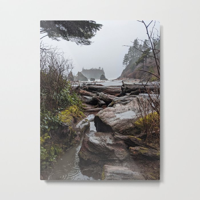 Rainy Washington Coast Metal Print