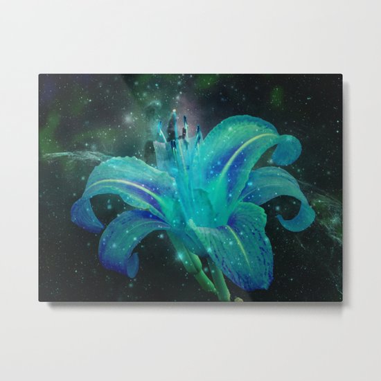 Turquoise Daylily in Space Metal Print