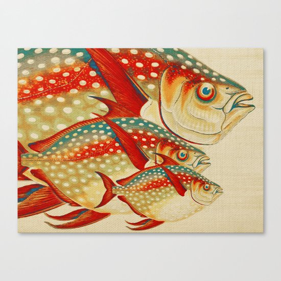 Fish Classic Designs 1 Canvas Print