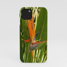 Bird Of Paradise iPhone Case