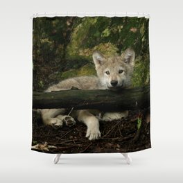 Timber wolf pup Shower Curtain
