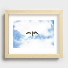 Seagull in Flight Recessed Framed Print