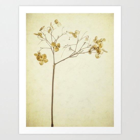 delicate tree Art Print