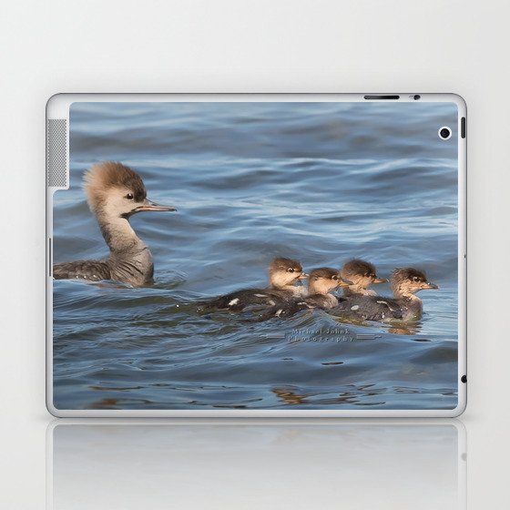 Momma and ducklings Laptop & iPad Skin