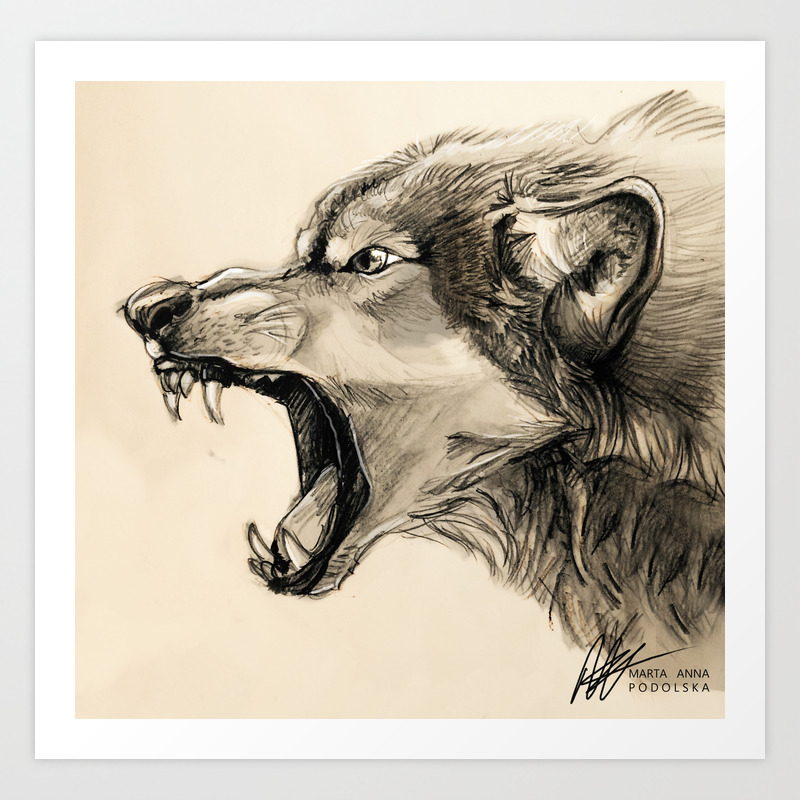 Wolf sketch