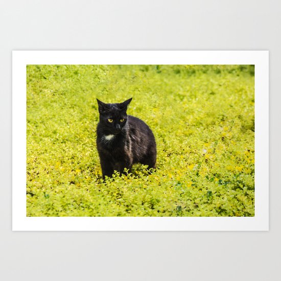 Black and Yellow Art Print