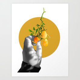 Picking Tomatoes Art Print