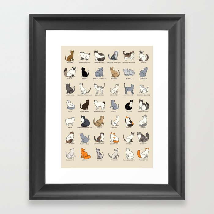 Cat Breeds Framed Art Print