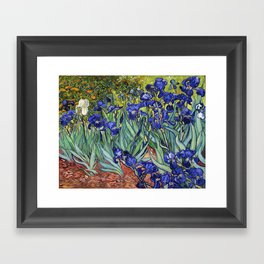 Irises by Vincent van Gogh Framed Art Print