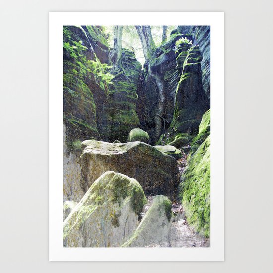 natura 3 Art Print