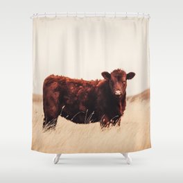 Red Angus Cow Art Shower Curtain
