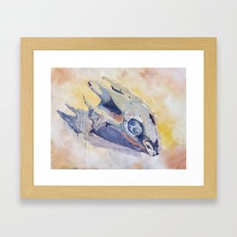 Softshell Turtle Skull Painting Framed Art Print