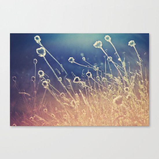 Blue and day Canvas Print