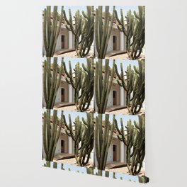 Mexico Photography - Cactuses Surrounding A Small House Wallpaper