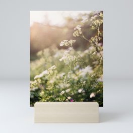 Analogue Baby's Breath Mini Art Print