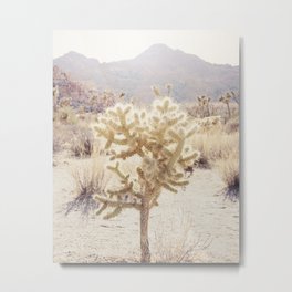 Thorn  Metal Print | Nature, Cactus, Photo, California, Desert, Mountains, Wild, Southwestern, Natural, Californiadesert 