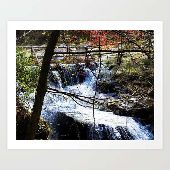 ˈwôtərˌfôl Art Print