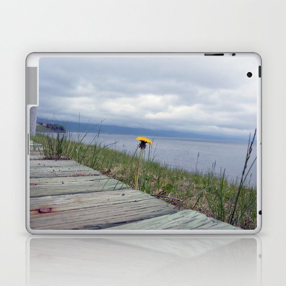 Canadian dandelion Laptop & iPad Skin