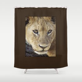 Lion_BrownBoarder Shower Curtain