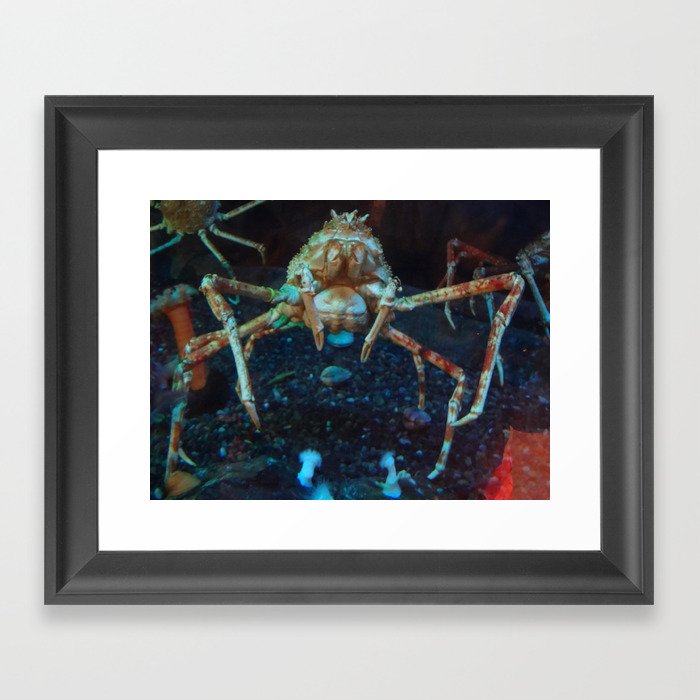 Giant Crab Framed Art Print