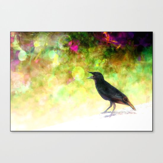 Little Bird Canvas Print