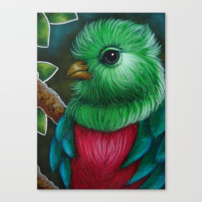Quetzal Bird Close Up Painting Canvas Print By Cyracancel Society6