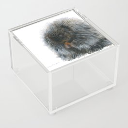 Vinnie the Porcupine by Teresa Thompson Acrylic Box