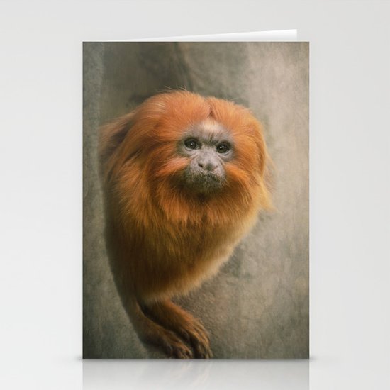 Little Golden Headed Lion Tamarin Stationery Cards