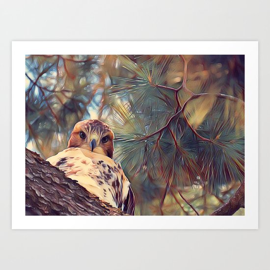He's Just A Baby Art Print