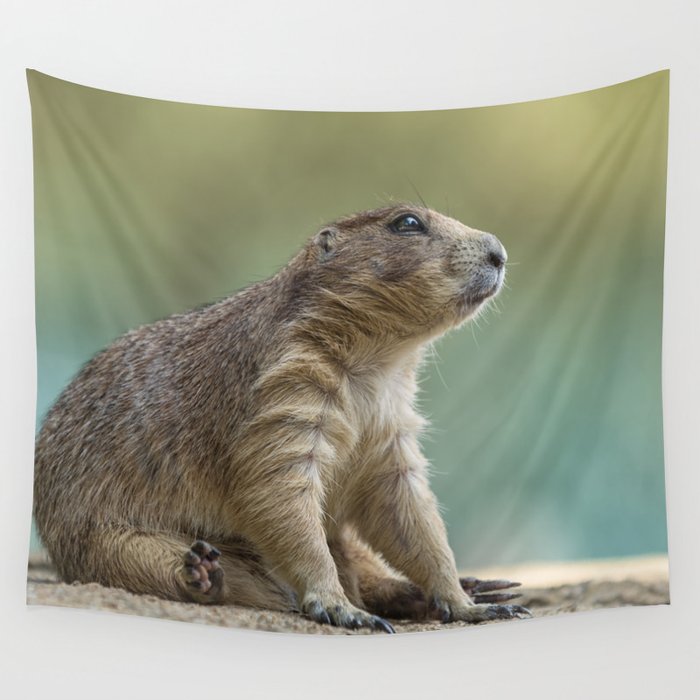 Praire dog sitting in the sun Wall Tapestry