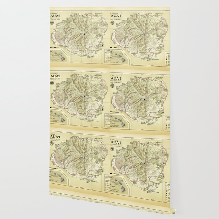 The Island Of Kauai Vintage Inspired Topographic Map Wallpaper
