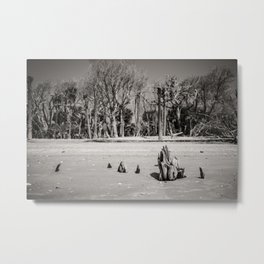 Edisto I Metal Print | Nature, Black and White, Landscape 